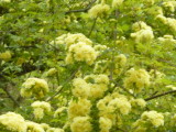 img0038.jpg