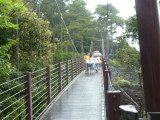 img0055.jpg