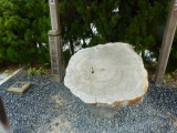 img0103.jpg