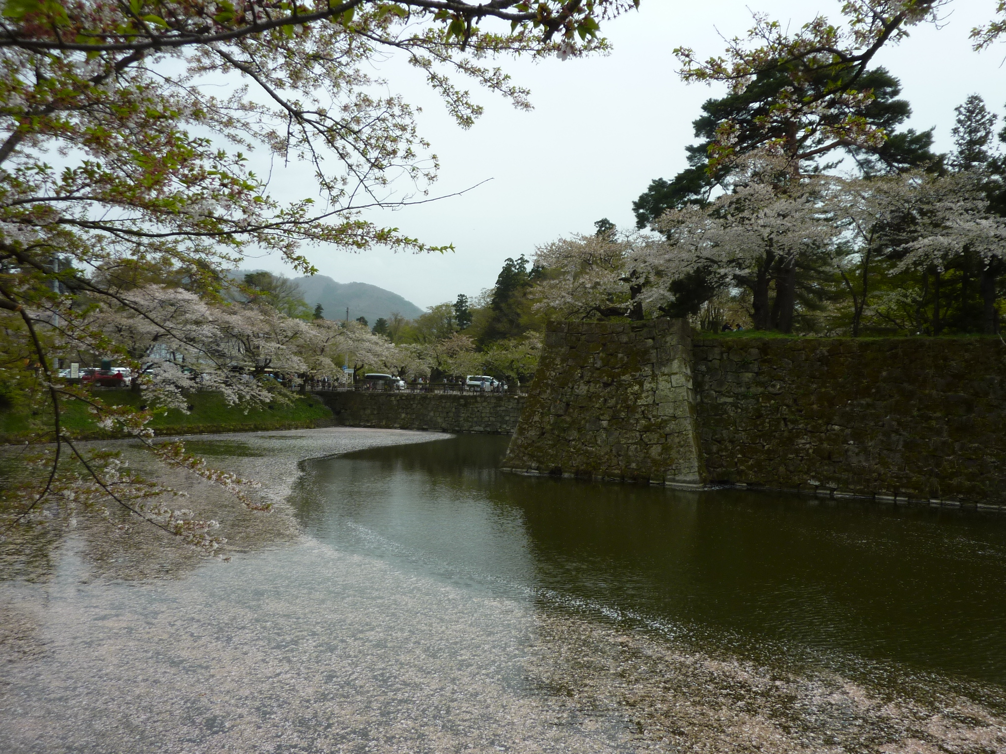 P1130300.JPG