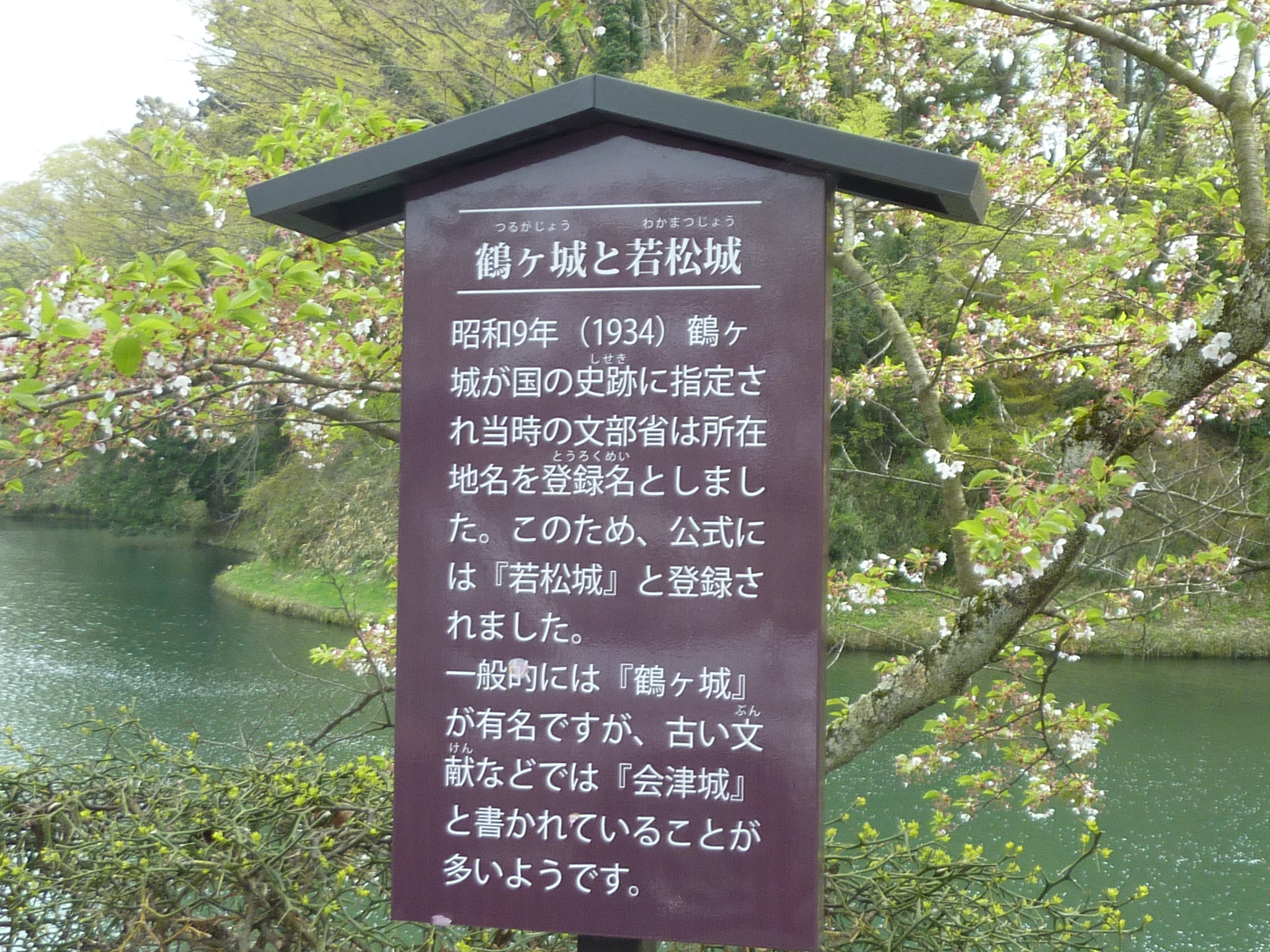 P1130303.JPG