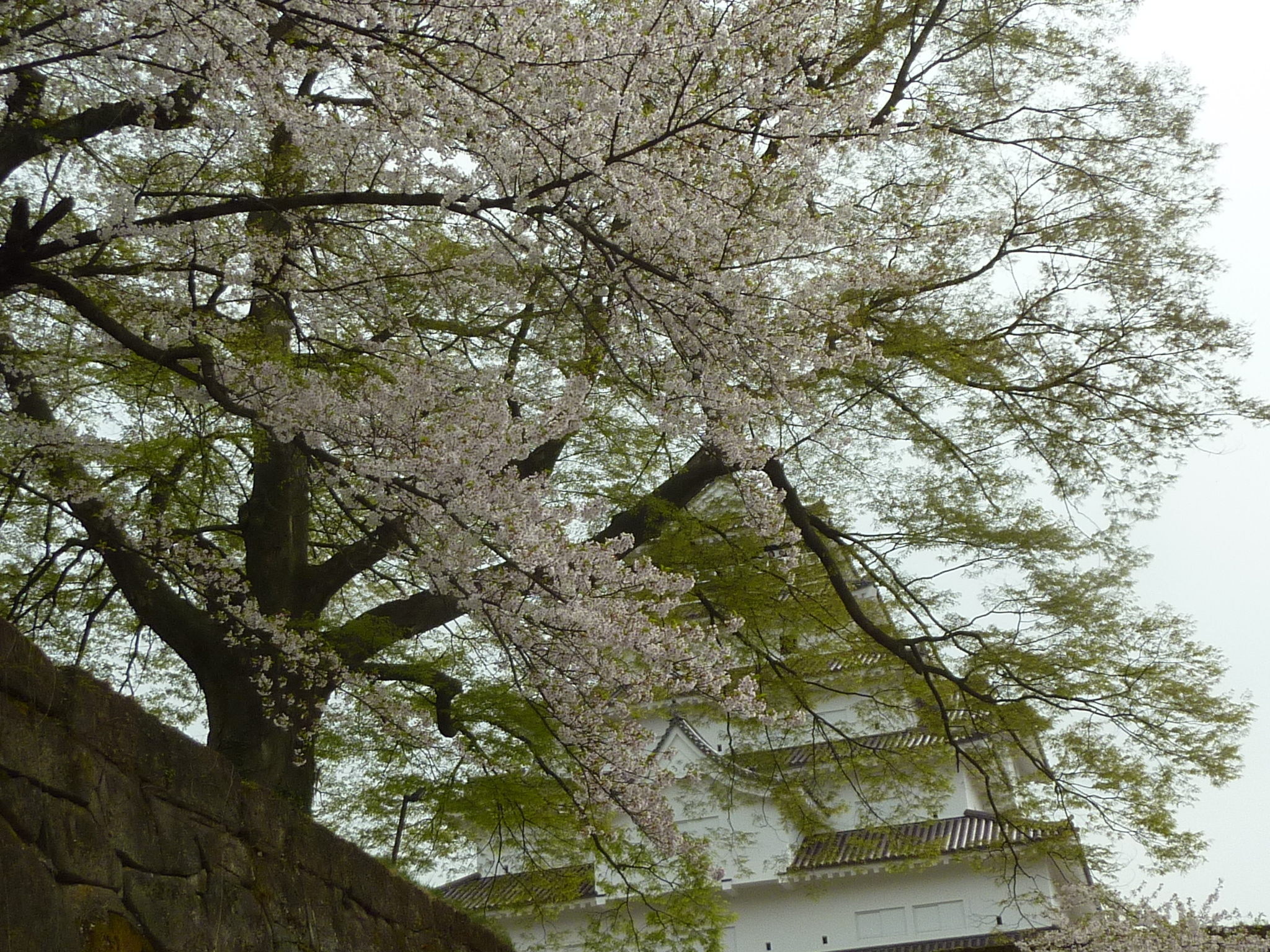 P1130307.JPG