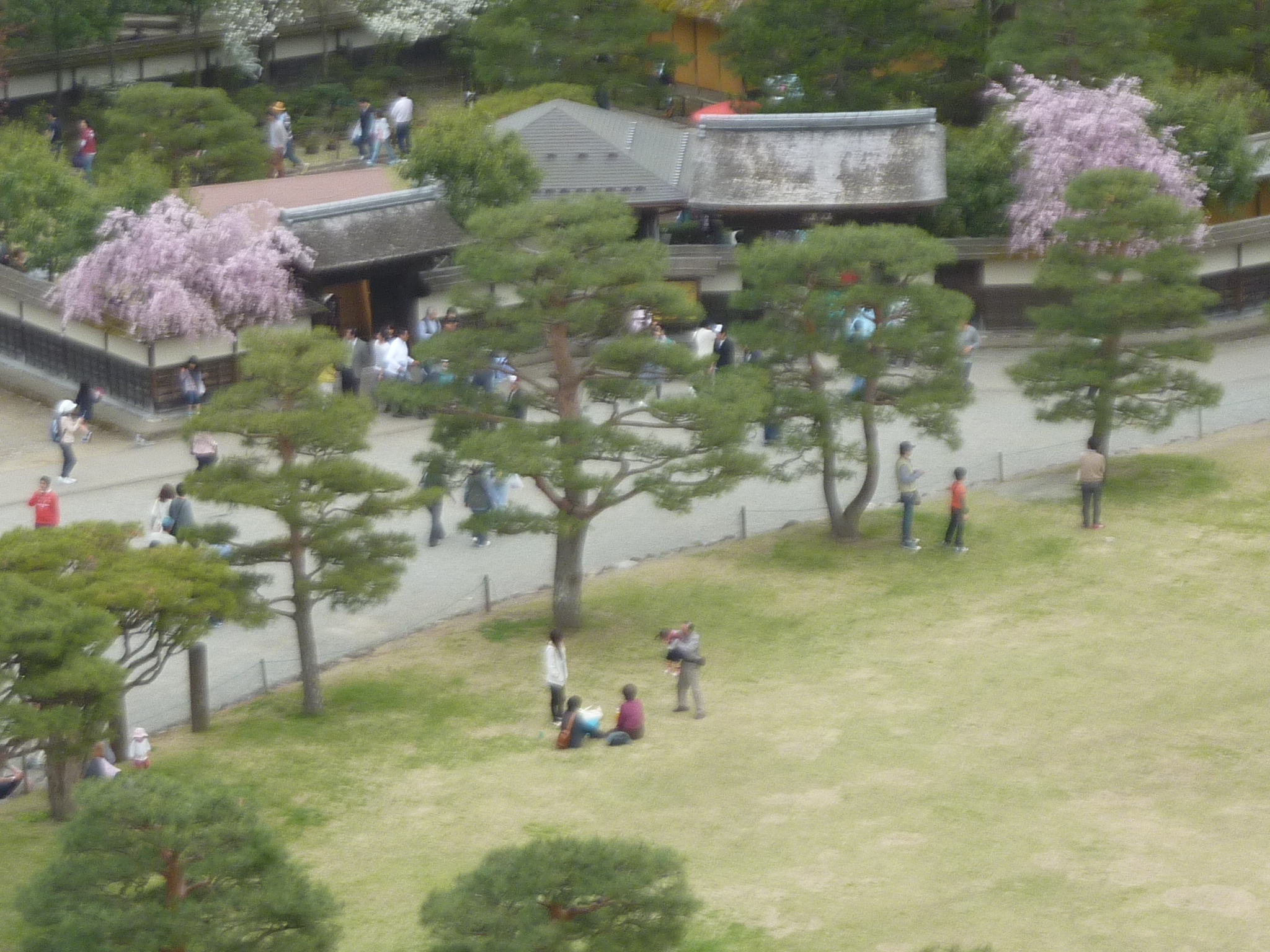P1130319.JPG
