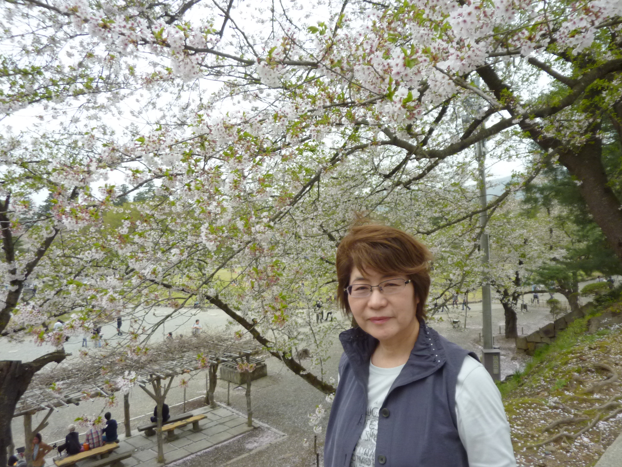 P1130324.JPG