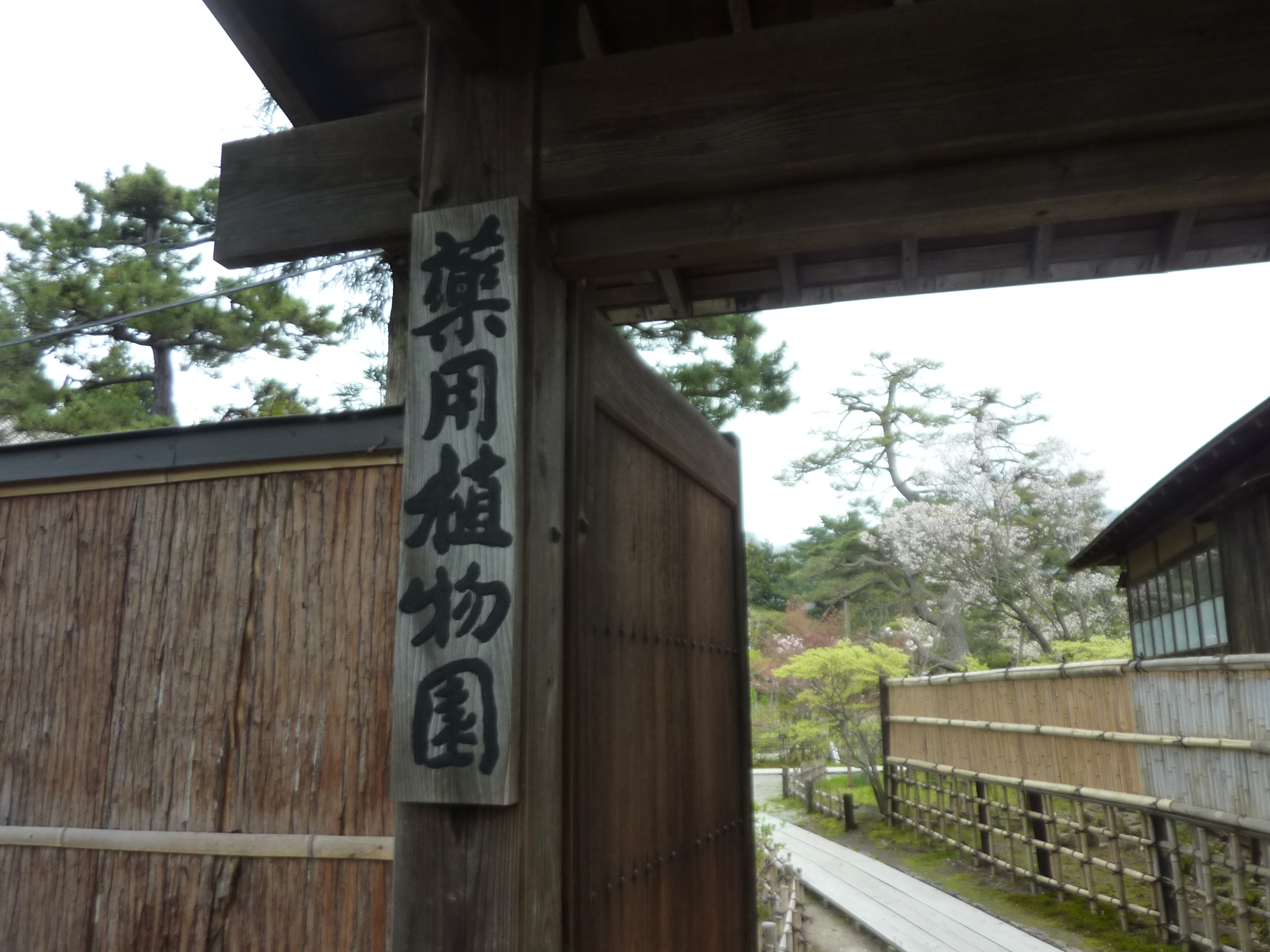 P1130327.JPG