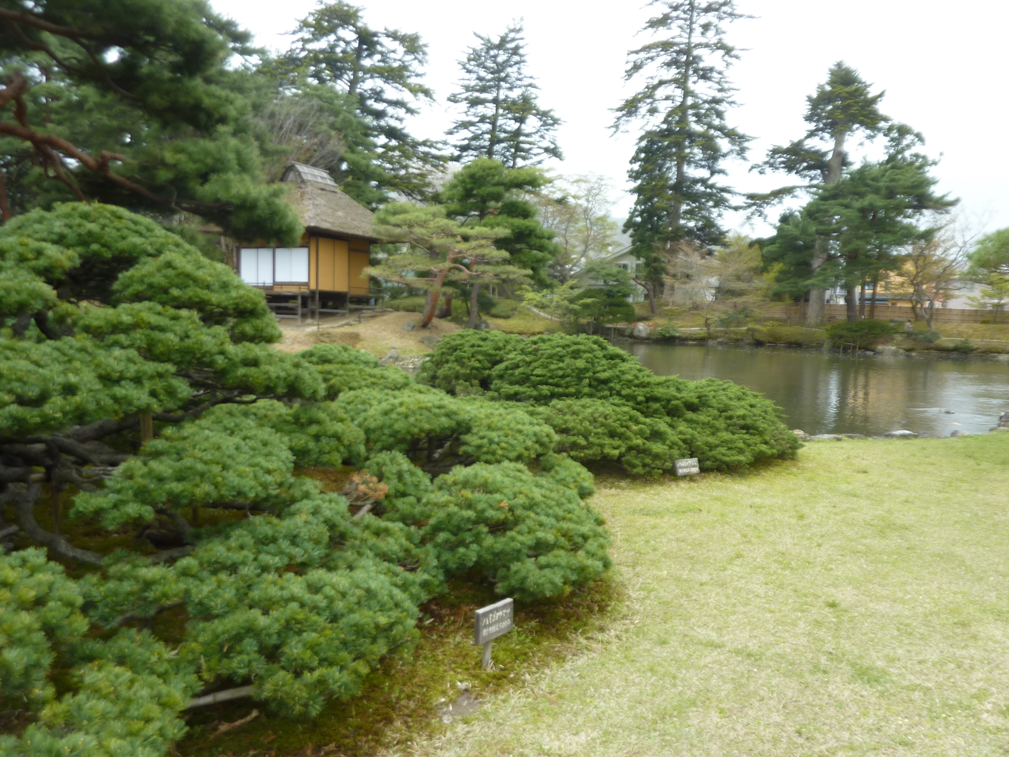 P1130329.JPG