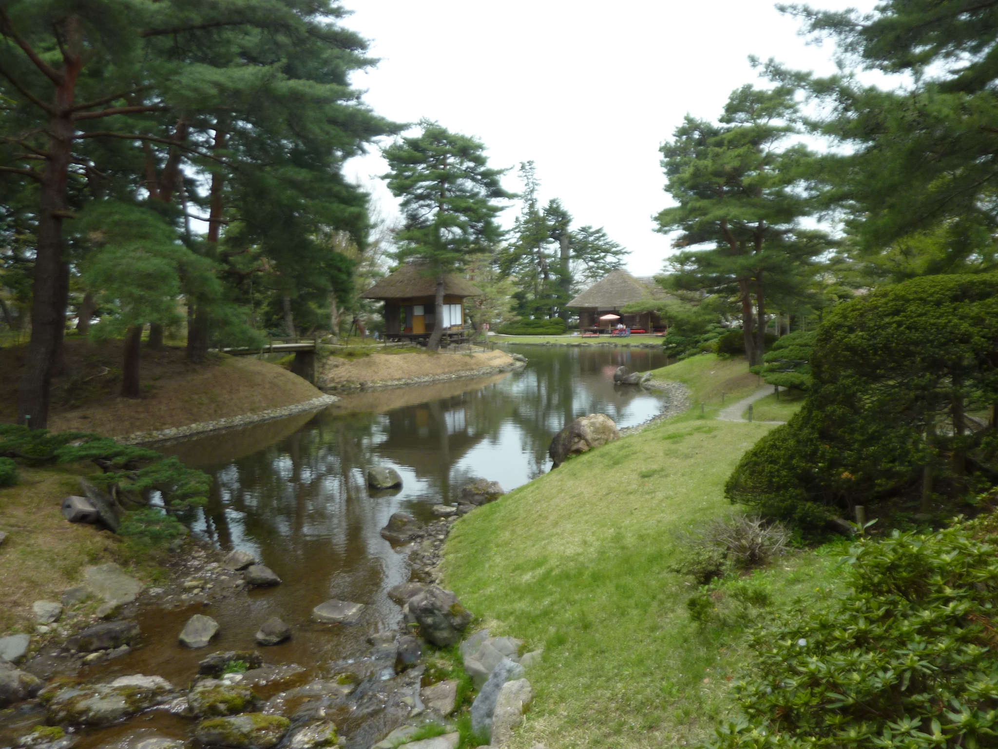 P1130331.JPG