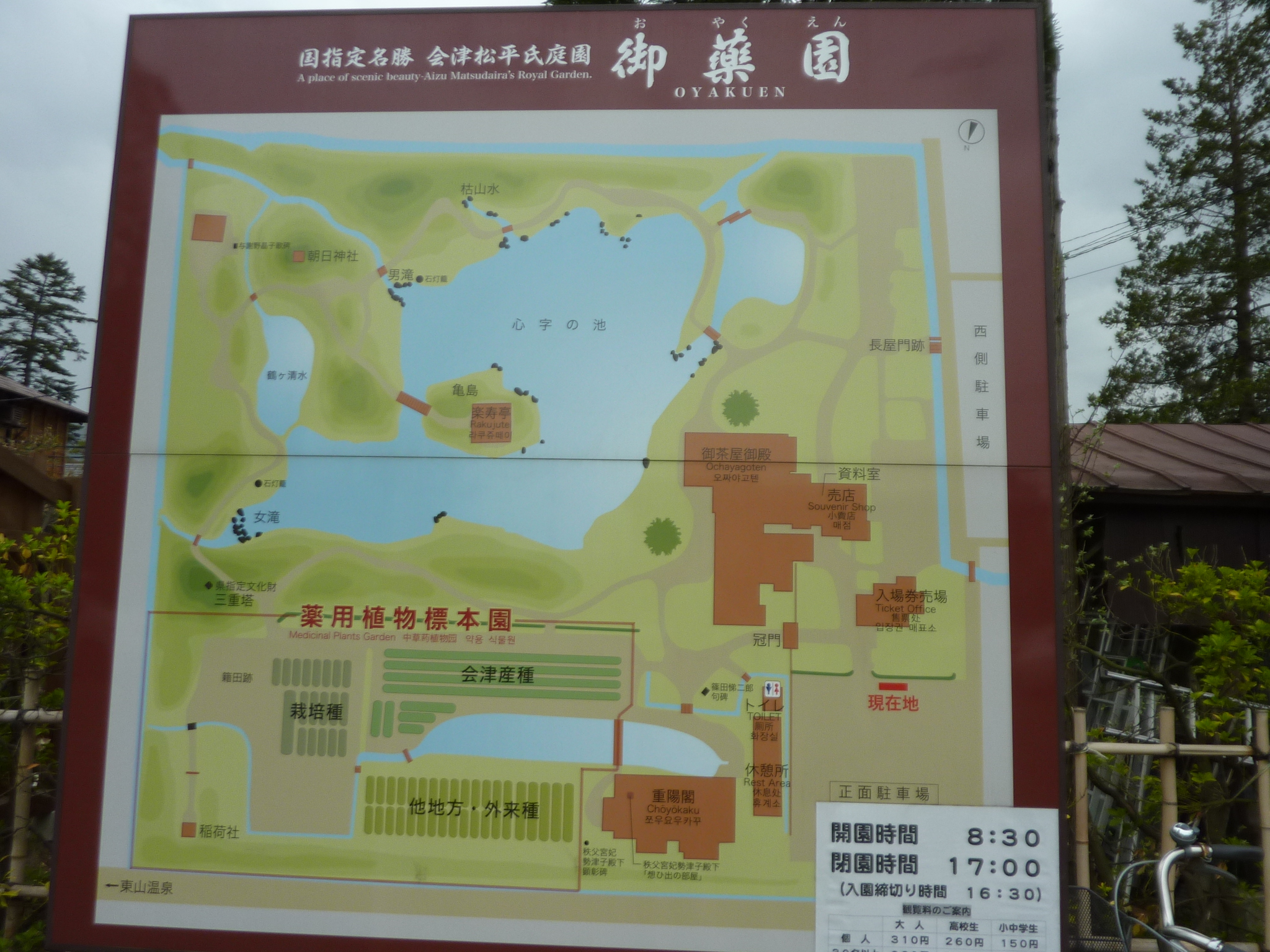 P1130347.JPG