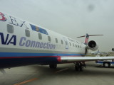 img0003.jpg