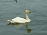 img0017.jpg