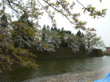 img0029.jpg