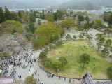img0046.jpg