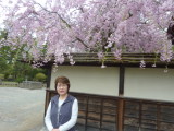 img0056.jpg