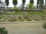img0060.jpg