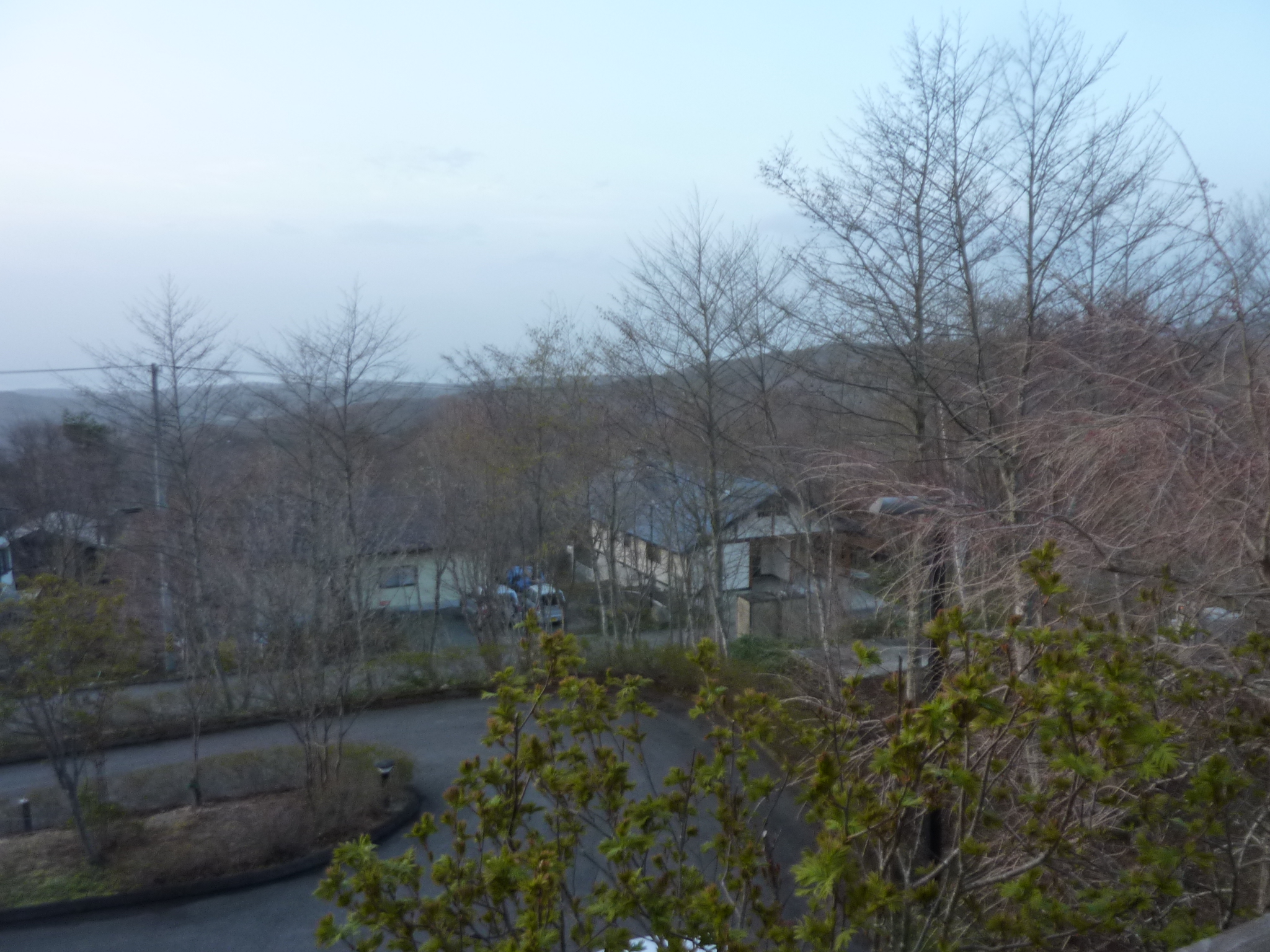 P1130385.JPG