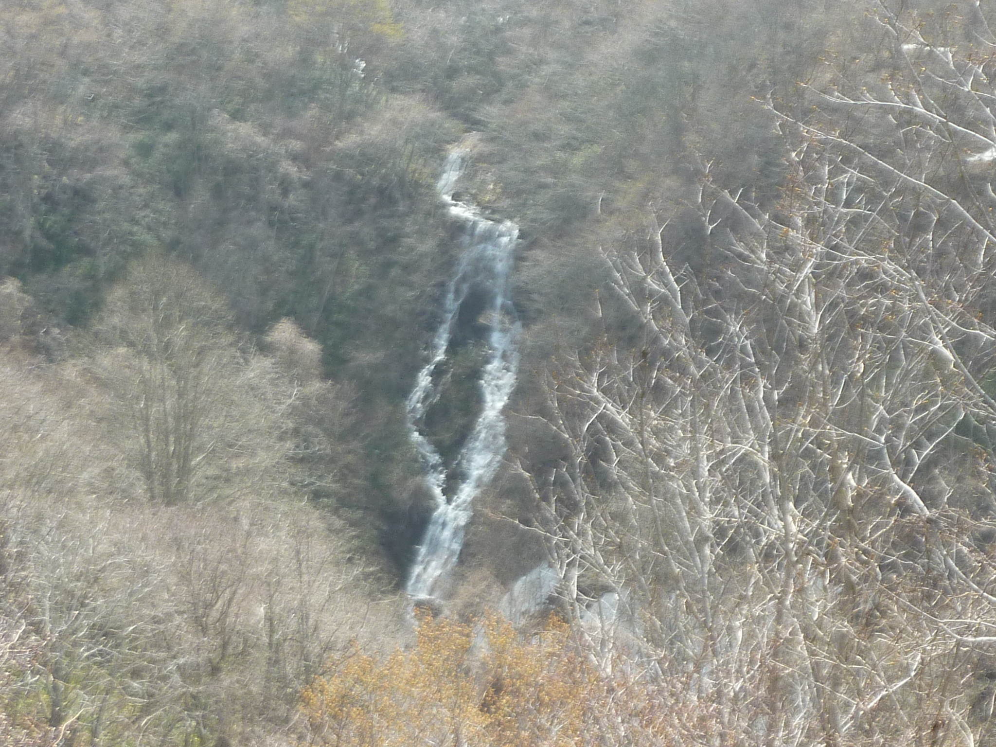 P1130420.JPG