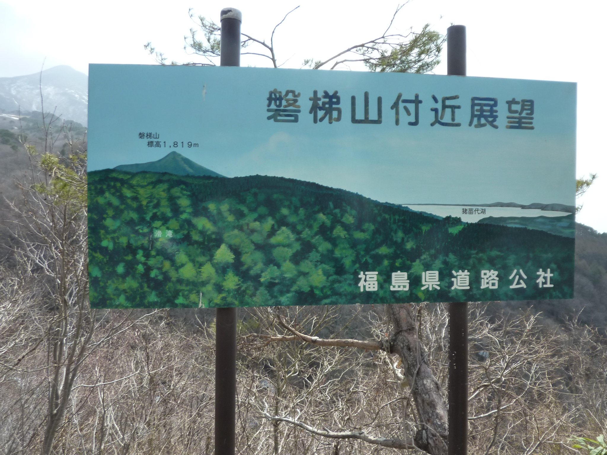 P1130422.JPG
