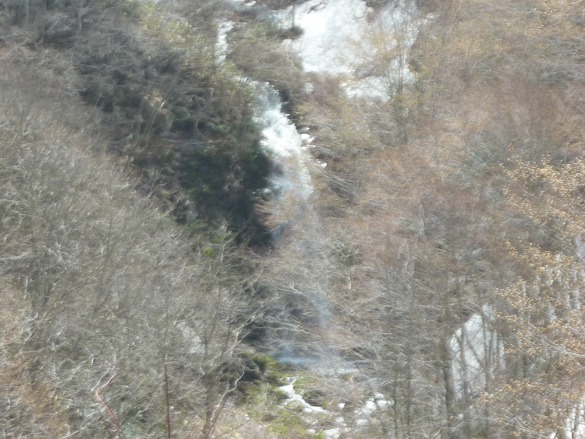 P1130425.JPG