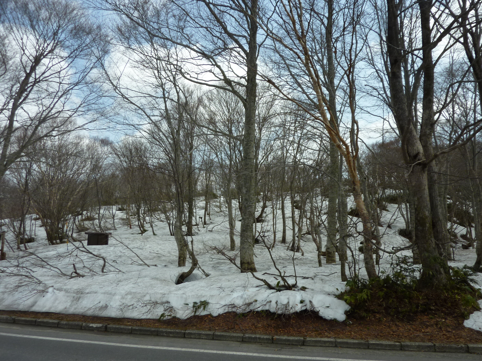 P1130429.JPG