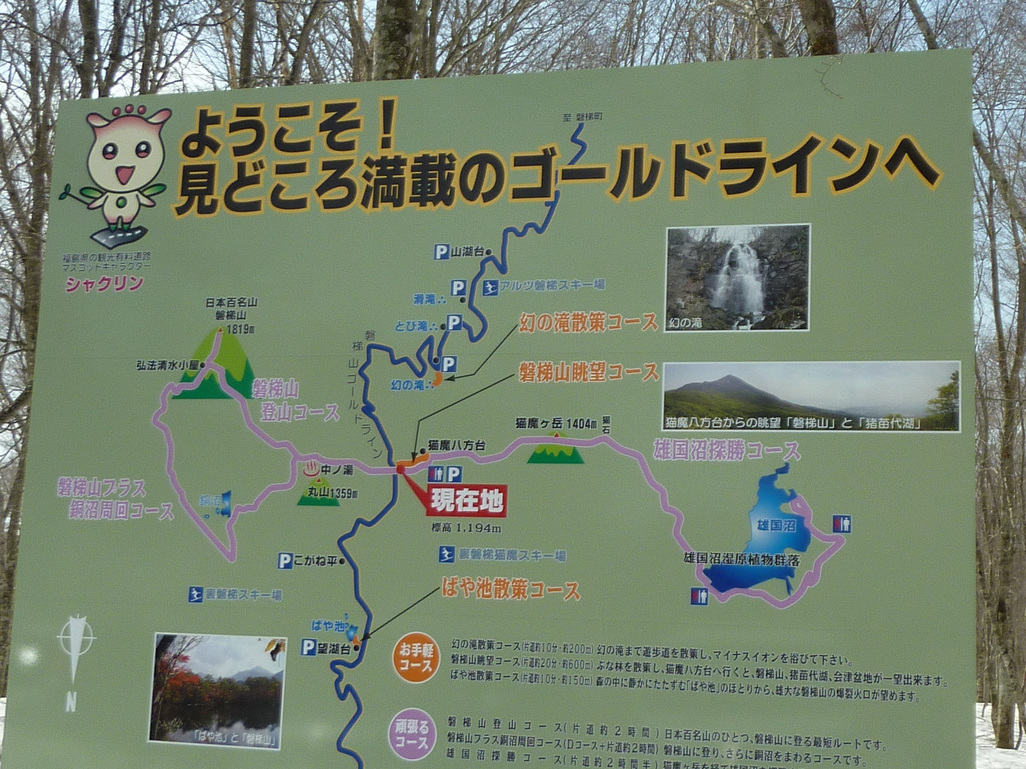 P1130431.JPG