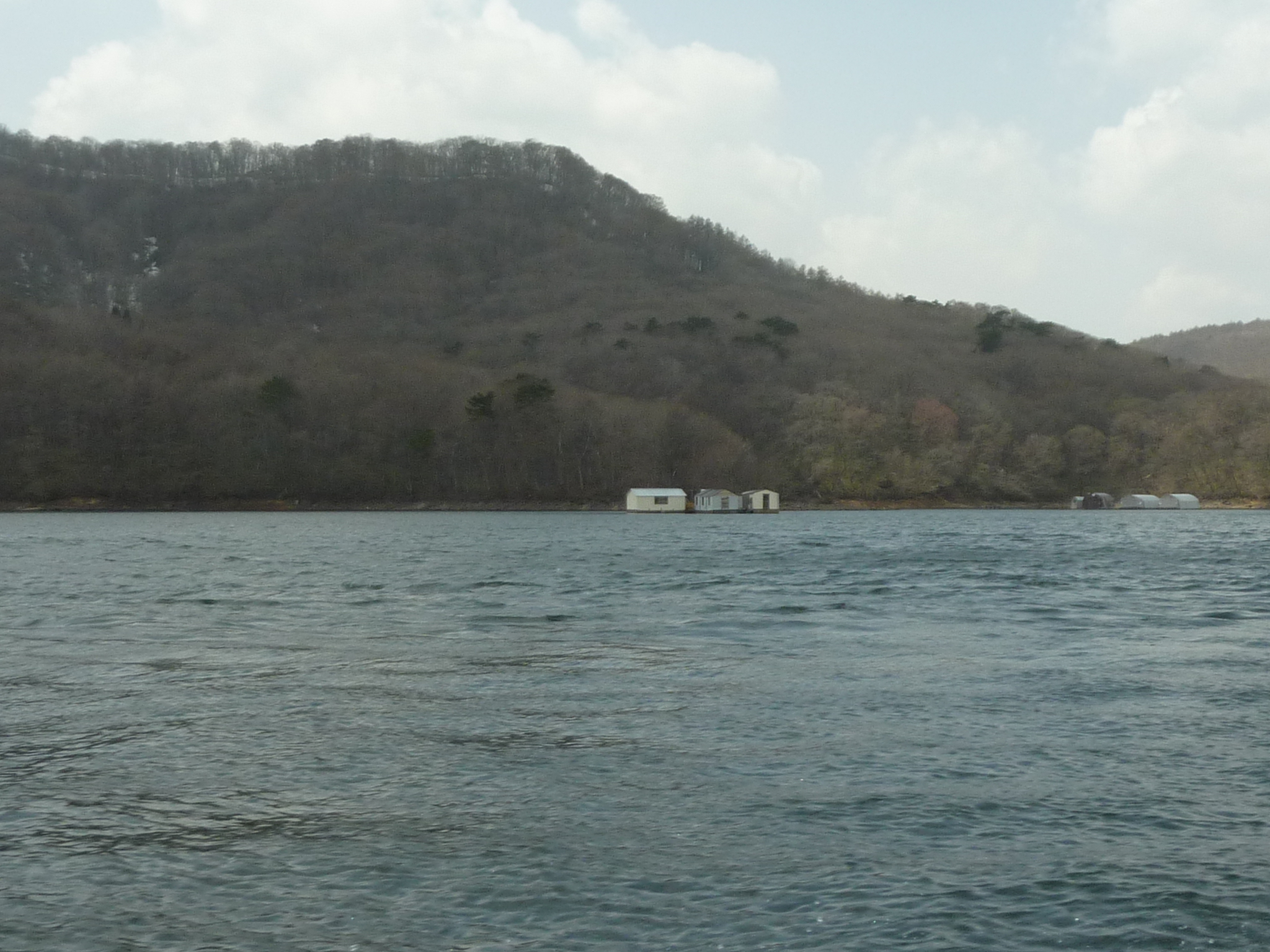 P1130474.JPG