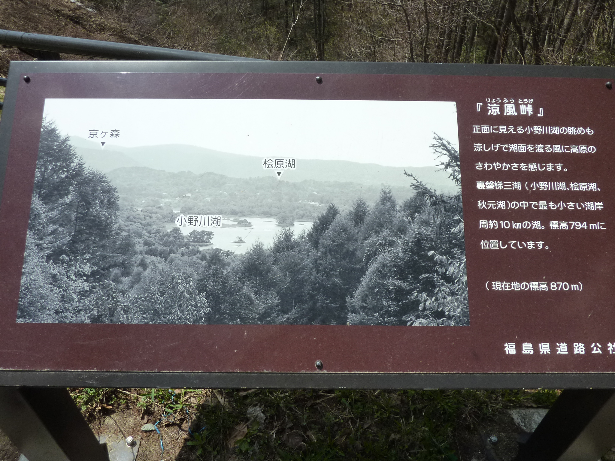 P1130489.JPG