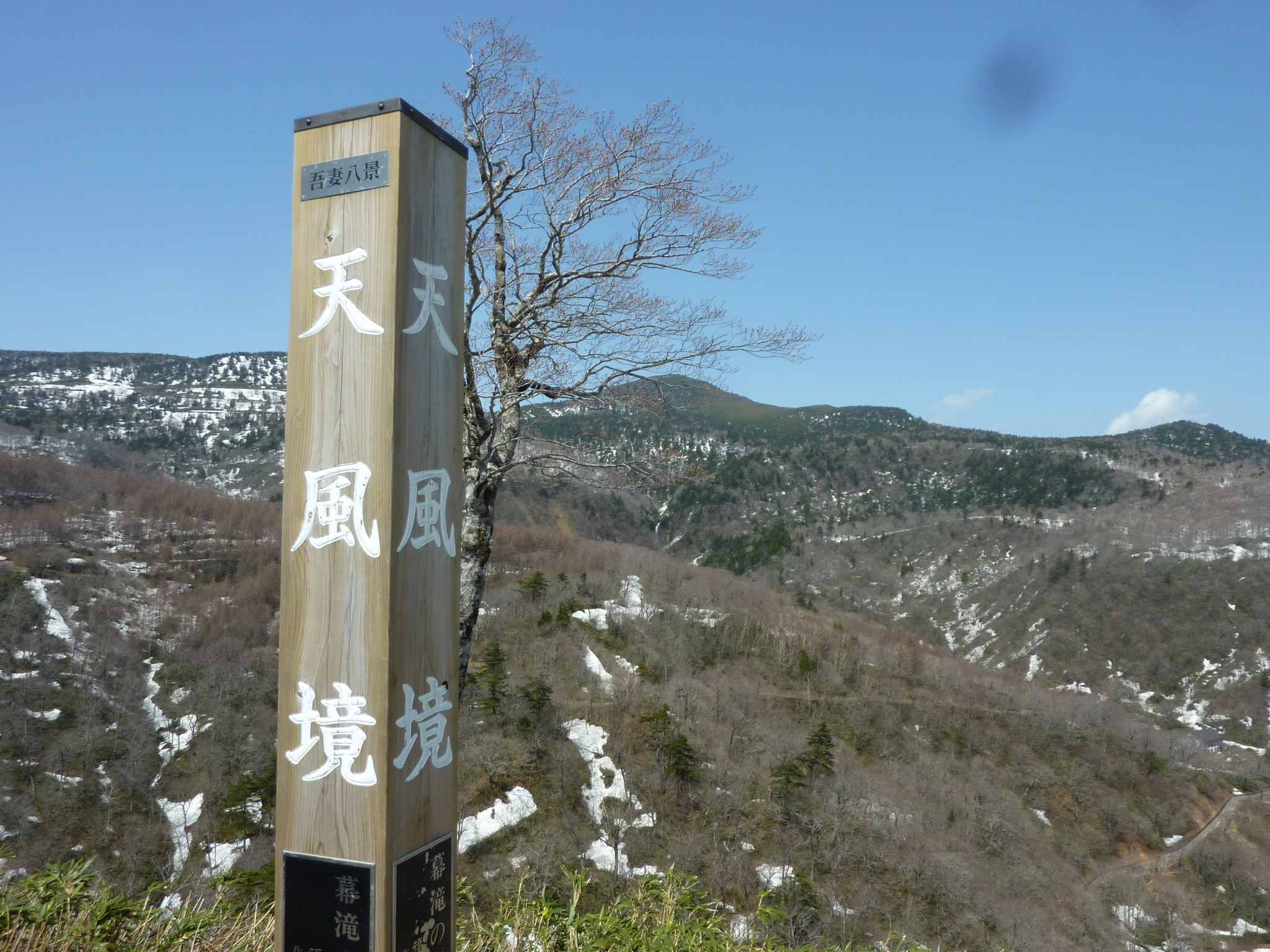 P1130511.JPG