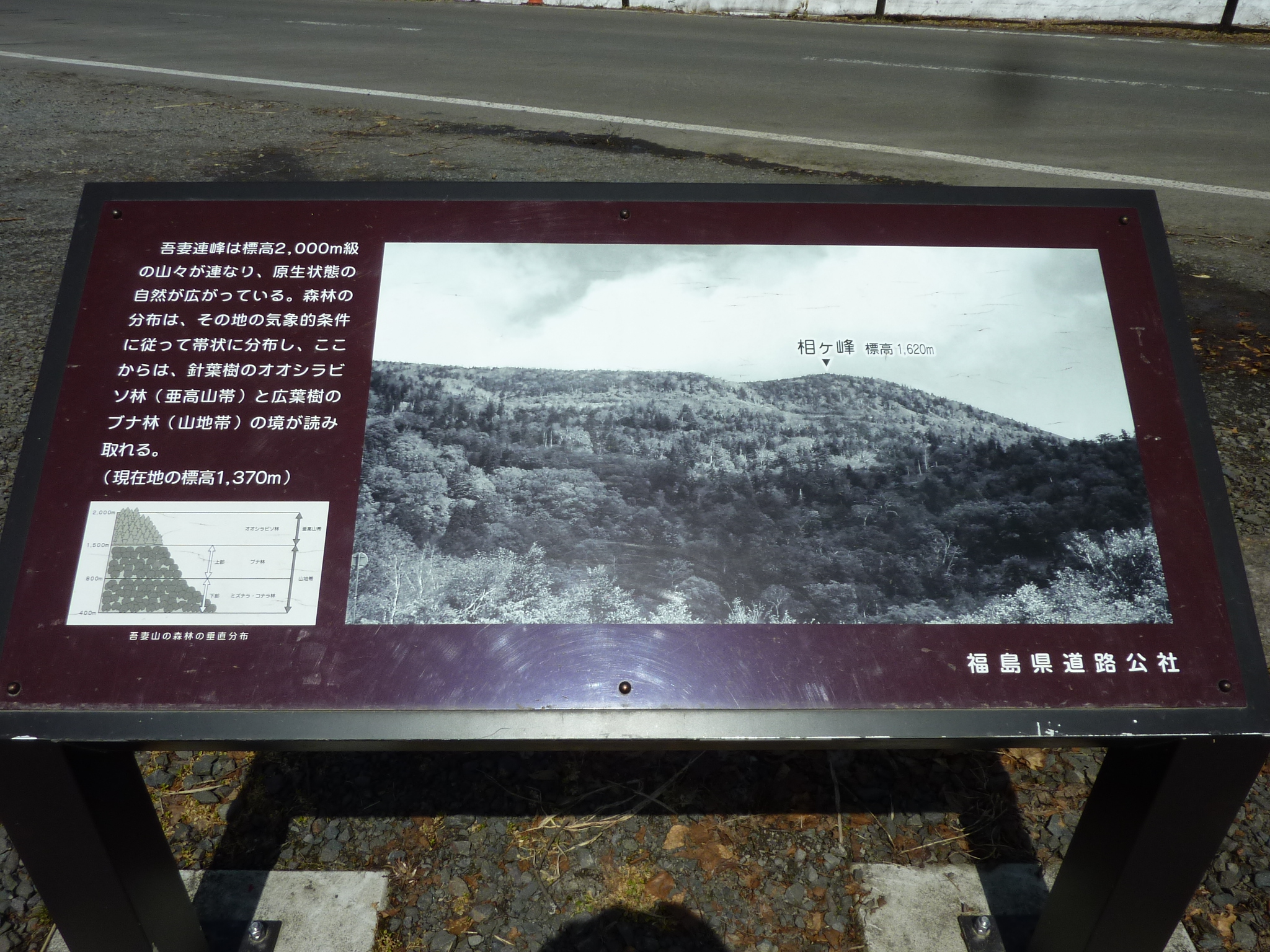 P1130518.JPG