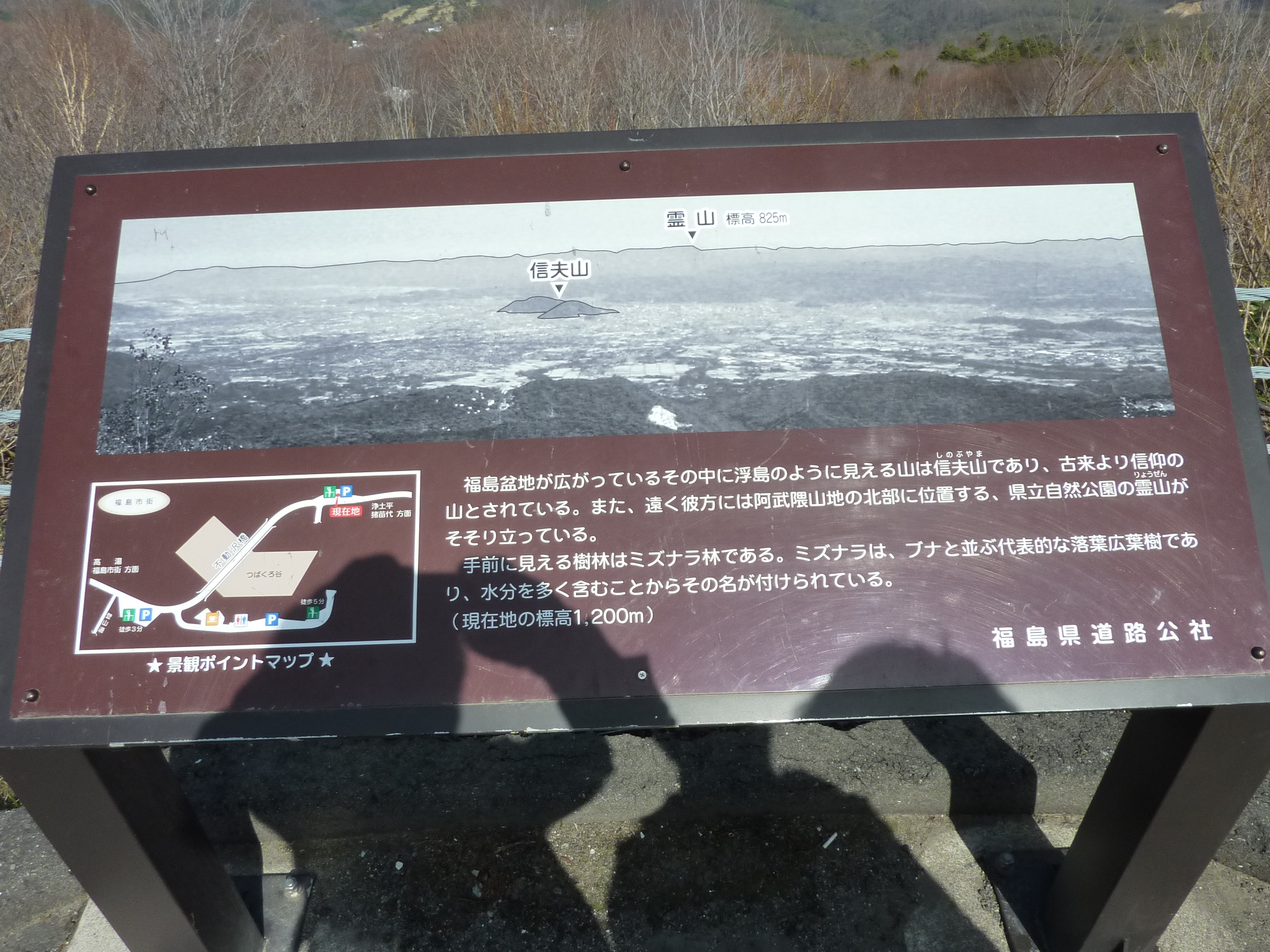 P1130560.JPG