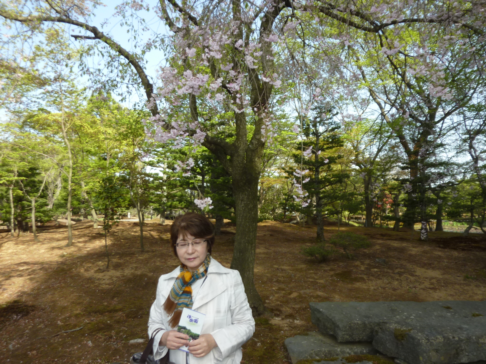 P1130577.JPG