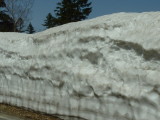 img0135.jpg