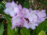 img0183.jpg