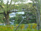 img0195.jpg