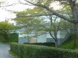 img0196.jpg