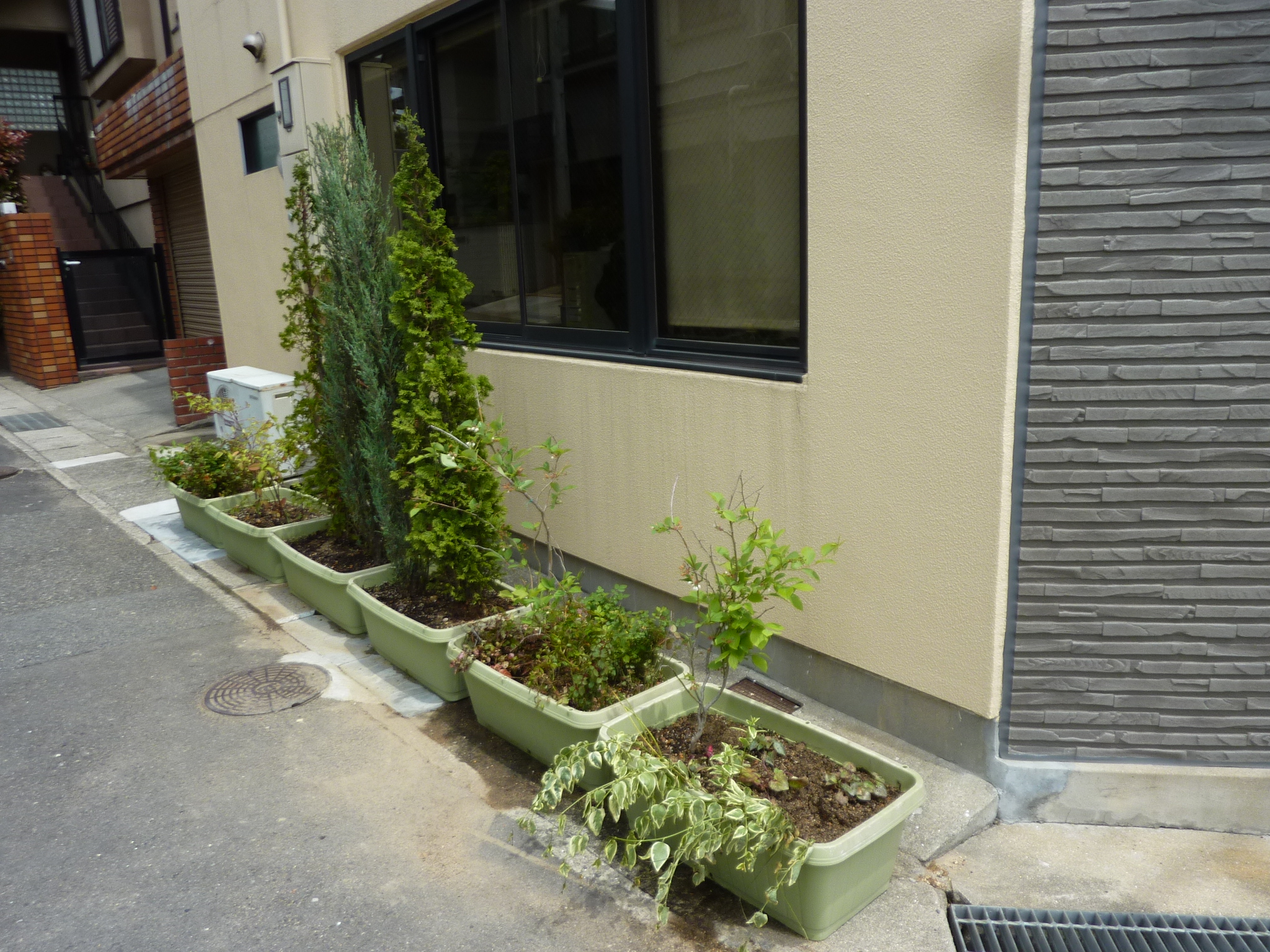 P1130623.JPG