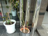 img0002.jpg