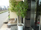 img0003.jpg