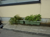 img0023.jpg