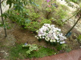 img0025.jpg