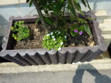 img0011.jpg