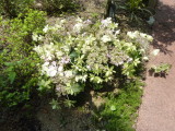 img0015.jpg