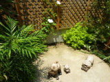 img0016.jpg