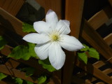 img0018.jpg