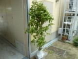 img0021.jpg