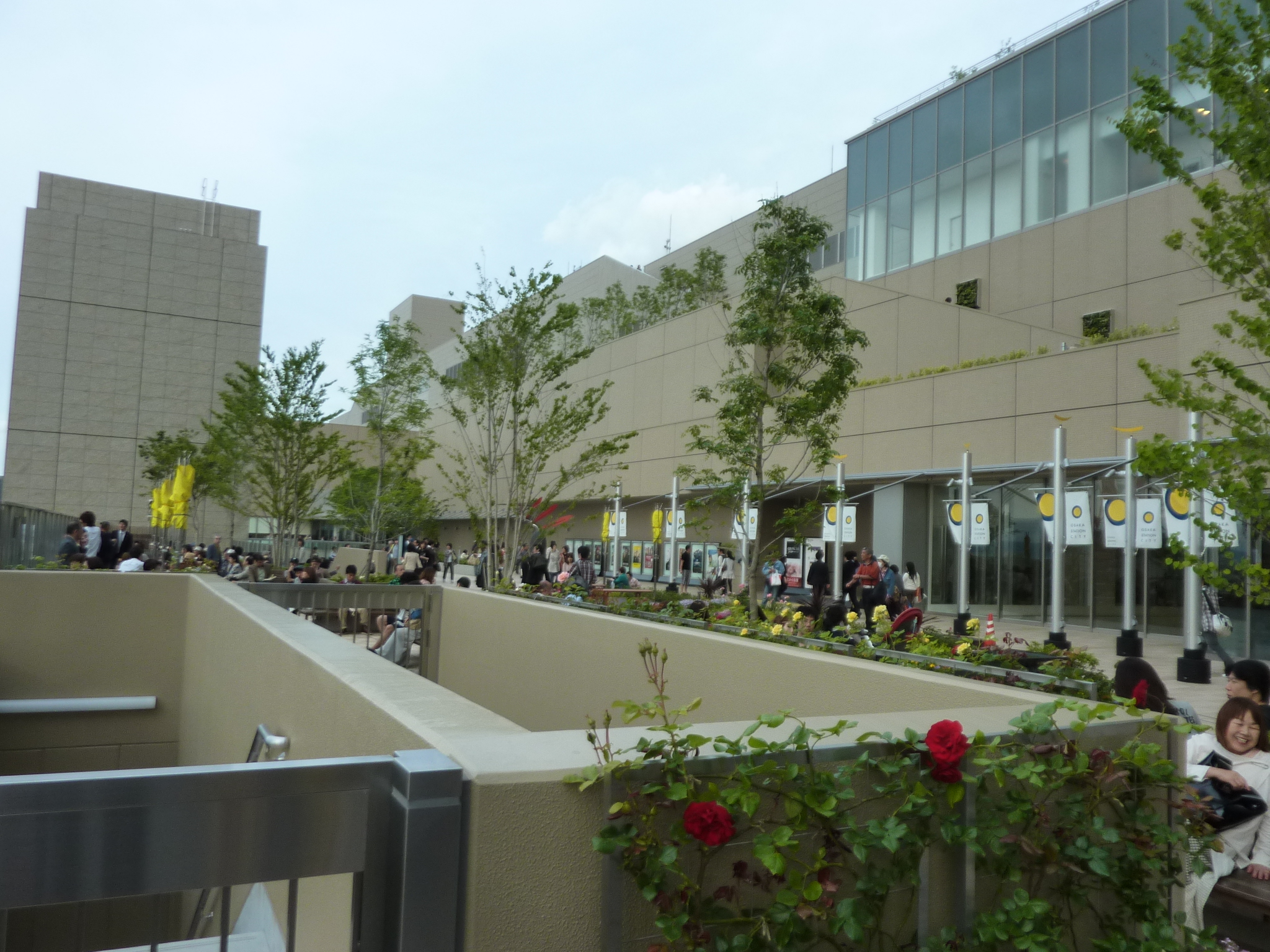 P1130793.JPG