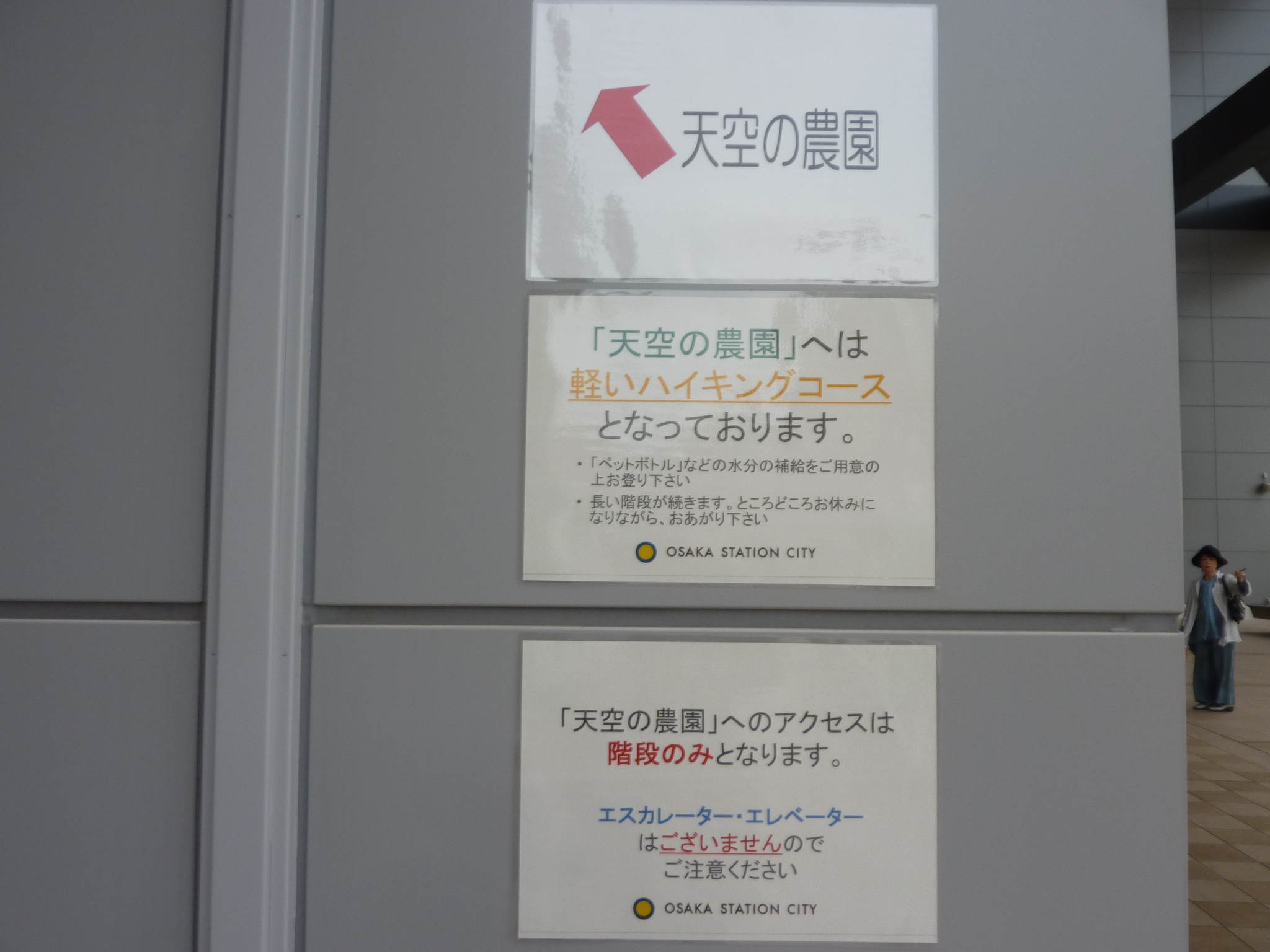 P1130795.JPG