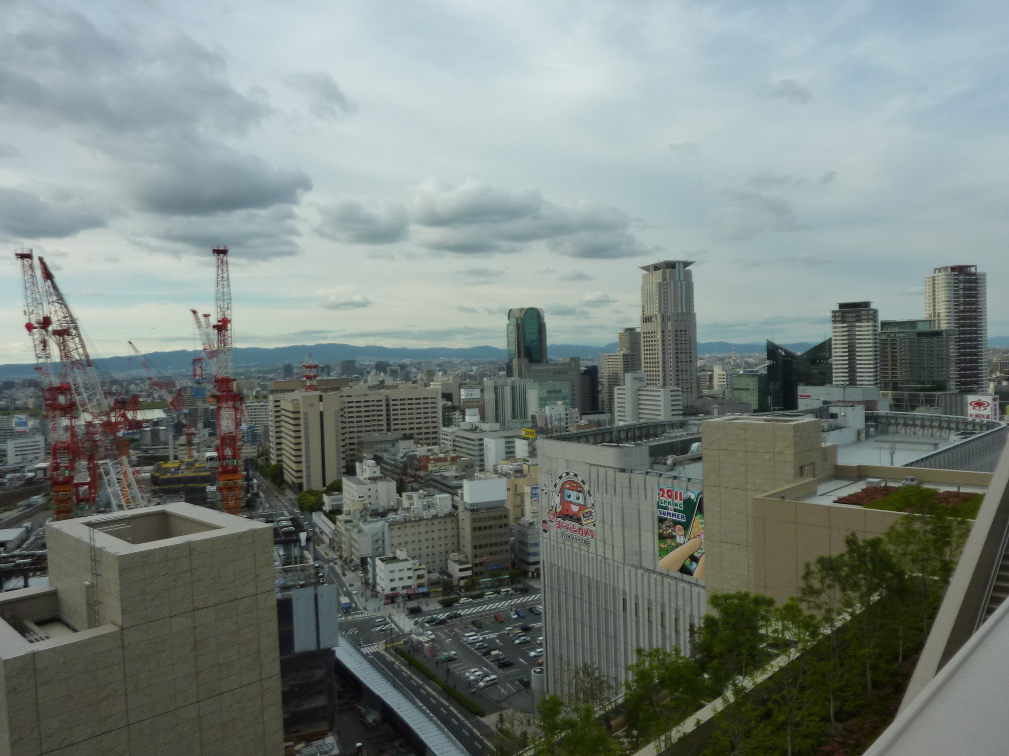 P1130800.JPG