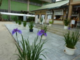 img0013.jpg