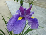 img0014.jpg
