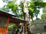 img0027.jpg